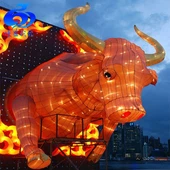 Lễ hội đèn lồng lụa đầy màu sắc